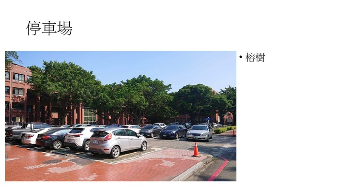 配合校園環境永續政策，校園內種植耐旱植物圖片