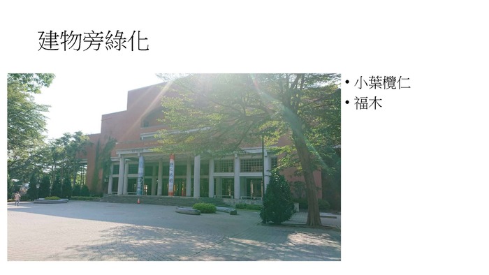配合校園環境永續政策，校園內種植耐旱植物圖片