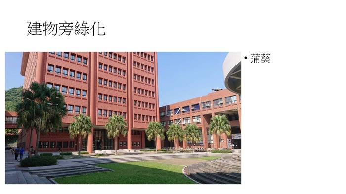 配合校園環境永續政策，校園內種植耐旱植物圖片