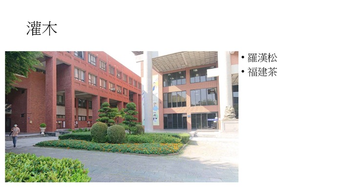 配合校園環境永續政策，校園內種植耐旱植物圖片