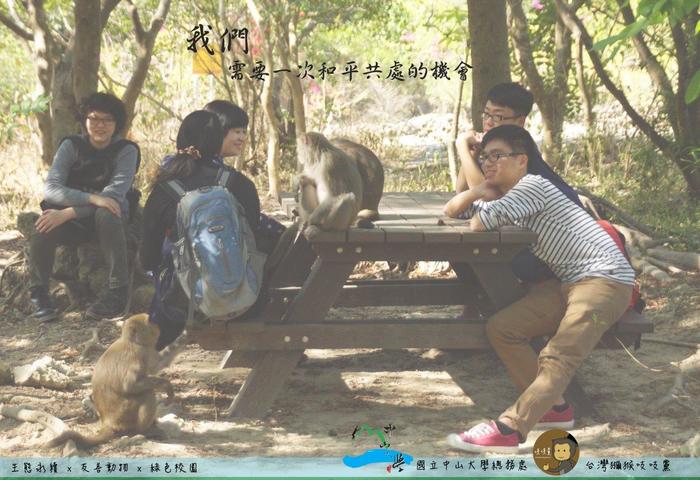 綠色校園圖片